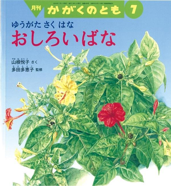 おしろいばな本の表紙HP